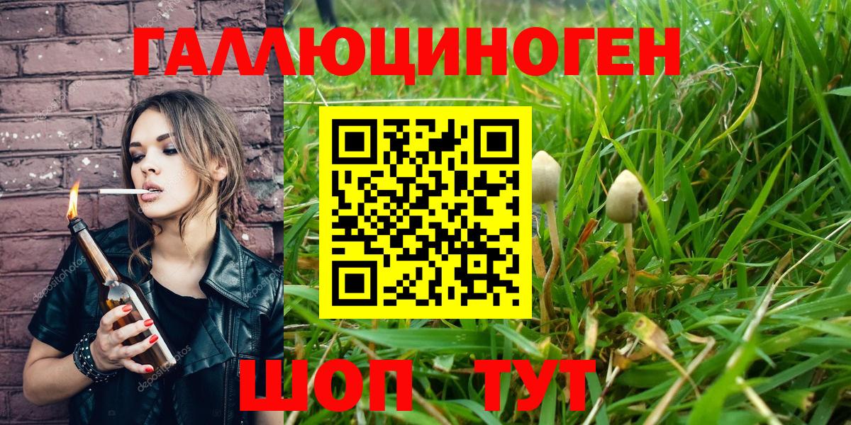 Галлюциногенные грибы Psilocybine cubensis Амурск