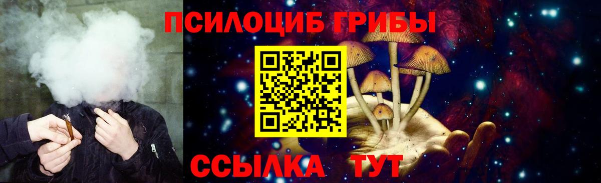 Галлюциногенные грибы прущие грибы  Вход с VPN  Амурск 